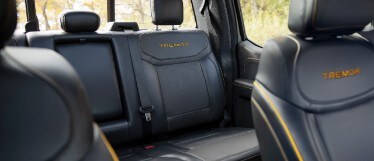 2021 Ford F-150 Tremor